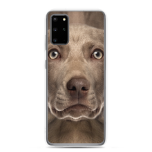 Samsung Galaxy S20 Plus Weimaraner Dog Samsung Case by Design Express