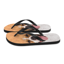 Pit Bull Dog Flip-Flops by Design Express