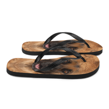 German Shepherd Dog Flip-Flops by Design Express