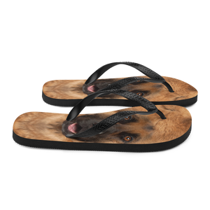 German Shepherd Dog Flip-Flops by Design Express