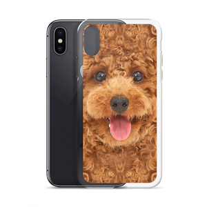 Poodle Dog iPhone Case by Design Express