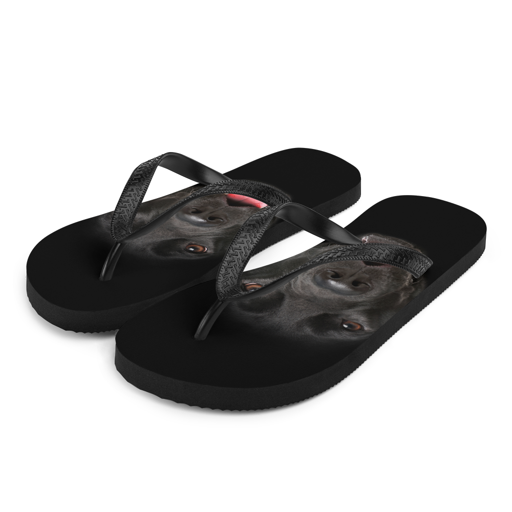 S Labrador Dog Flip-Flops by Design Express