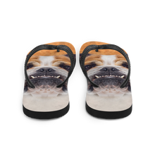 Bulldog Flip-Flops by Design Express