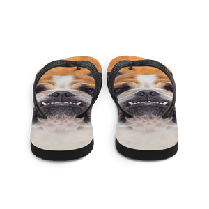 Bulldog Flip-Flops by Design Express