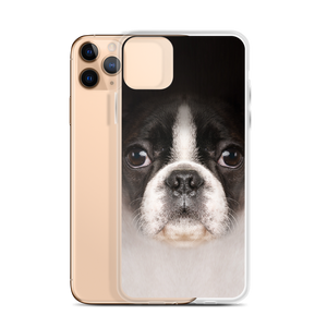 Boston Terrier Dog iPhone Case by Design Express