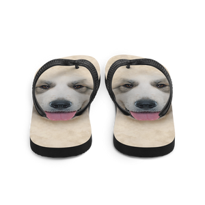 Great Pyrenees Dog Flip-Flops by Design Express