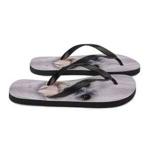 Schnauzer Dog Flip-Flops by Design Express