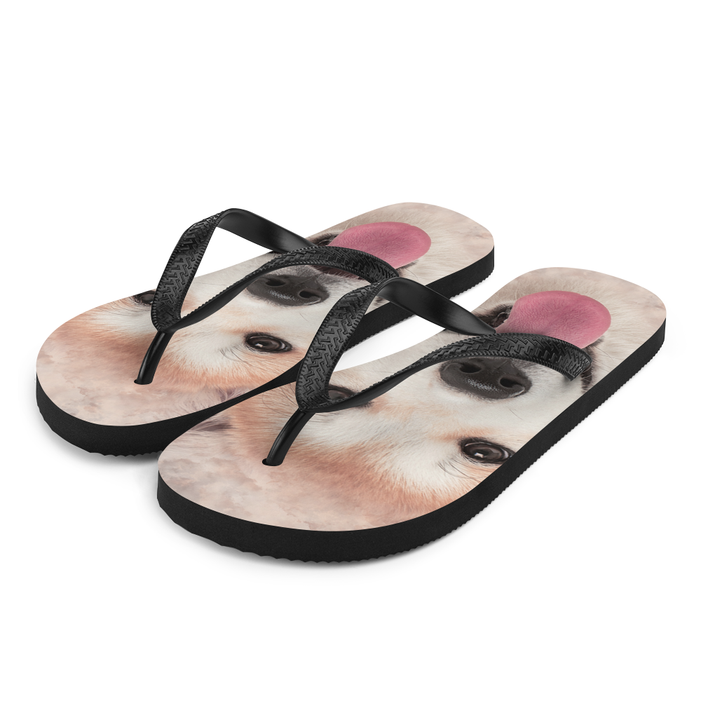 S Akita Dog Flip-Flops by Design Express