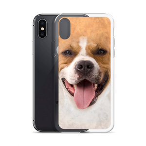 Pit Bull Dog iPhone Case by Design Express