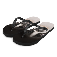 S Boston Terrier Dog Flip-Flops by Design Express