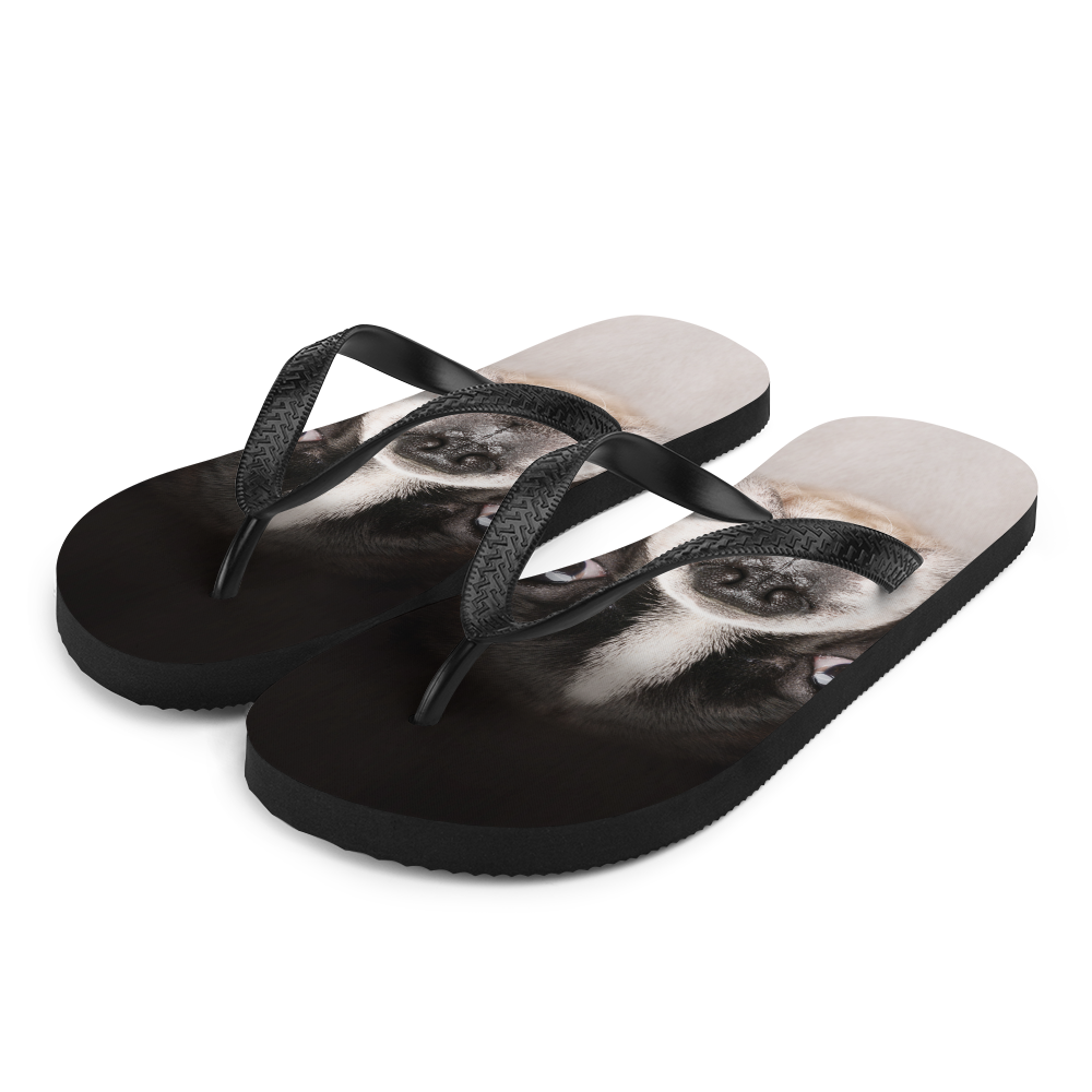 S Boston Terrier Dog Flip-Flops by Design Express