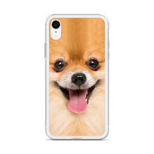 Pomeranian Dog iPhone Case by Design Express