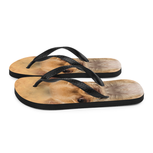 Chihuahua Dog Flip-Flops by Design Express