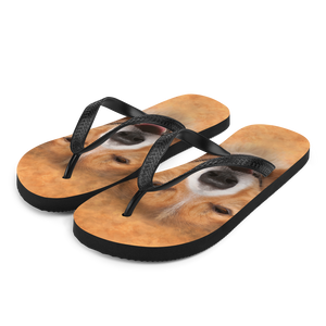 S Border Collie Dog Flip-Flops by Design Express