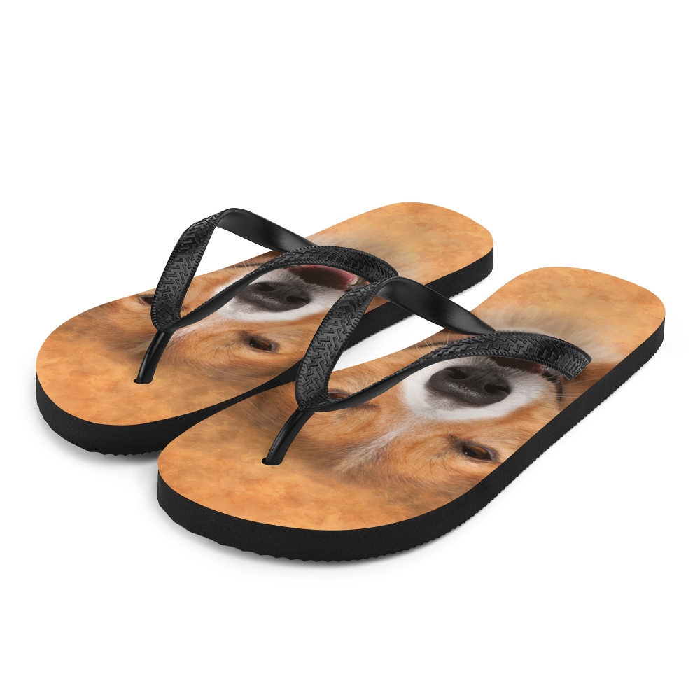 S Border Collie Dog Flip-Flops by Design Express