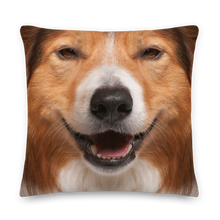 22×22 Border Collie Dog Premium Pillow by Design Express