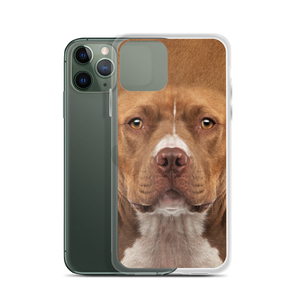 Staffordshire Bull Terrier Dog iPhone Case by Design Express