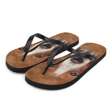 S Basset Hound Dog Flip-Flops by Design Express