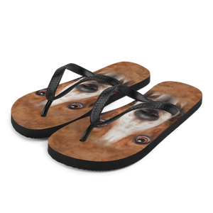 S Basset Hound Dog Flip-Flops by Design Express