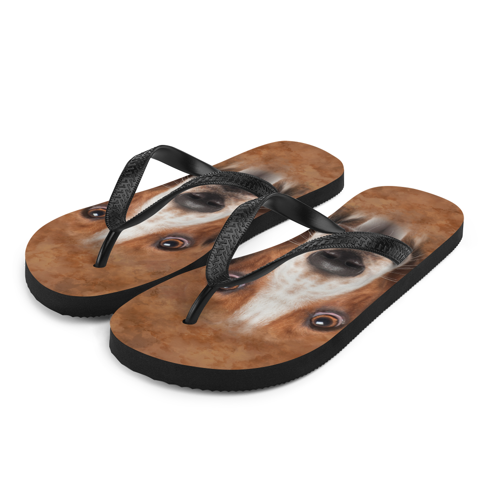 S Basset Hound Dog Flip-Flops by Design Express