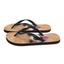 Corgi Dog Flip-Flops by Design Express