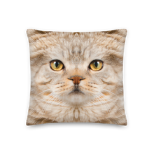 18×18 Scottish Fold Cat "Hazel" Premium Pillow by Design Express