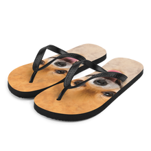 S Pomeranian Dog Flip-Flops by Design Express