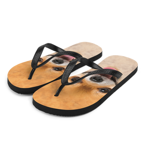 S Pomeranian Dog Flip-Flops by Design Express