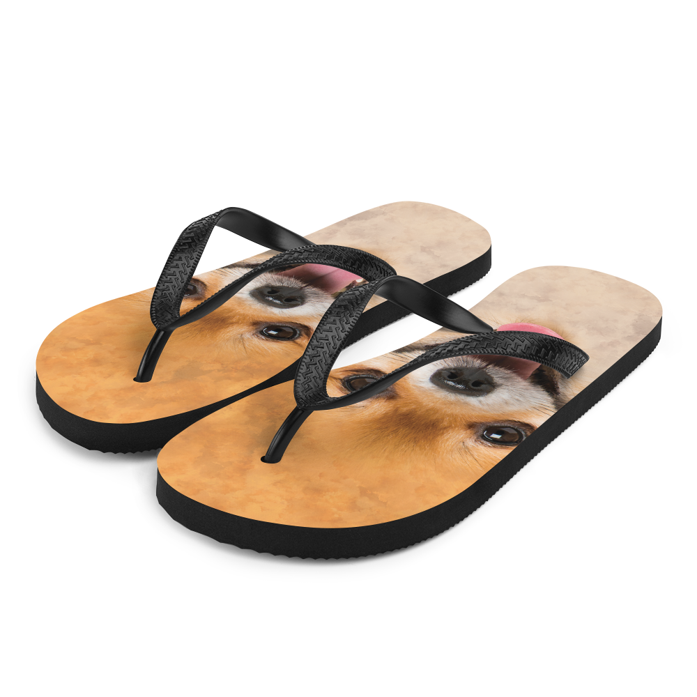 S Pomeranian Dog Flip-Flops by Design Express