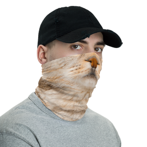 Scottish Fold Cat “Hazel” Neck Gaiter Masks by Design Express