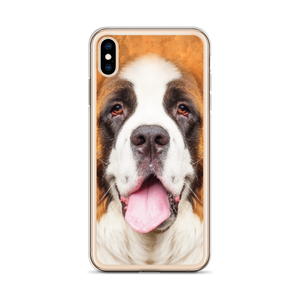 Saint Bernard Dog iPhone Case by Design Express