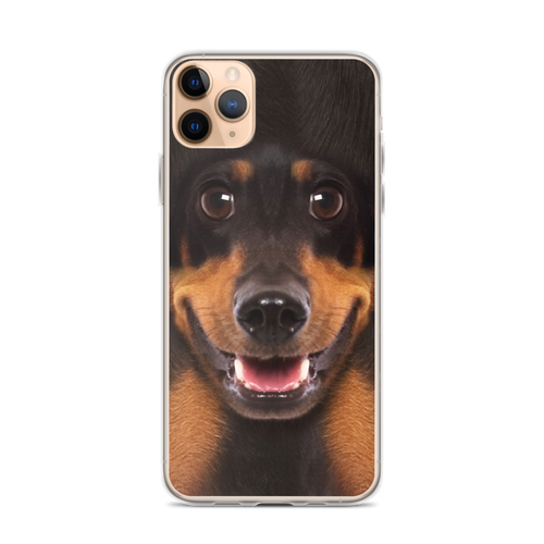 iPhone 11 Pro Max Dachshund Dog iPhone Case by Design Express