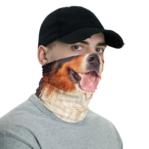 Bernese Mountain Dog Neck Gaiter Masks by Design Express