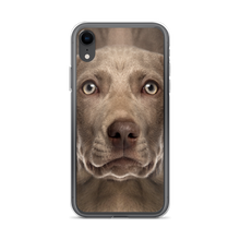 iPhone XR Weimaraner Dog iPhone Case by Design Express