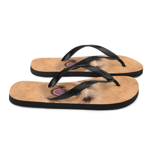 Yorkie Dog Flip-Flops by Design Express