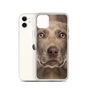 Weimaraner Dog iPhone Case by Design Express