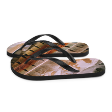 Pheasant Feathers Flip-Flops by Design Express