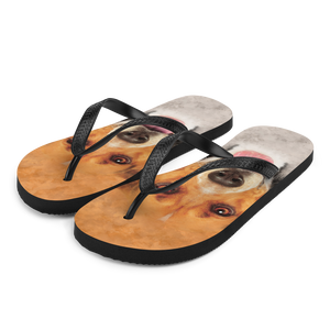 S Beagle Dog Flip-Flops by Design Express