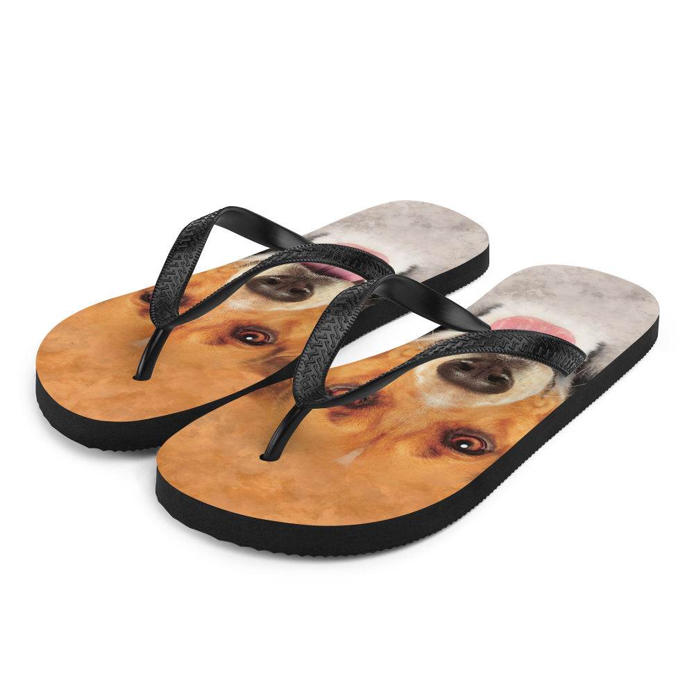 S Beagle Dog Flip-Flops by Design Express