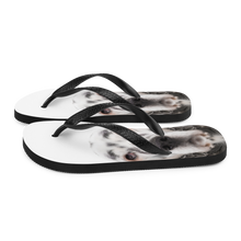 English Setter Dog Flip-Flops by Design Express