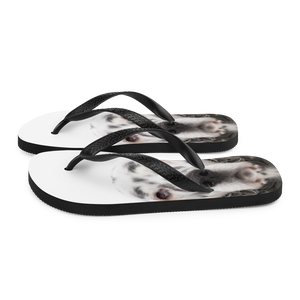 English Setter Dog Flip-Flops by Design Express