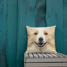 Border Collie "All Over Animal" Square Premium Pillow by Design Express