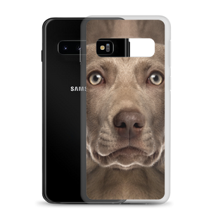 Weimaraner Dog Samsung Case by Design Express