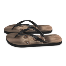 Weimaraner Dog Flip-Flops by Design Express