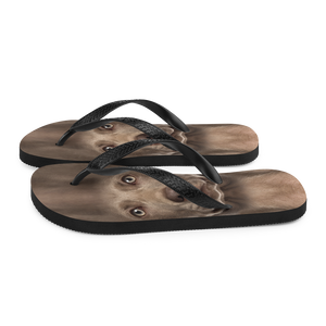 Weimaraner Dog Flip-Flops by Design Express