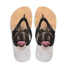 French Bulldog Flip-Flops by Design Express