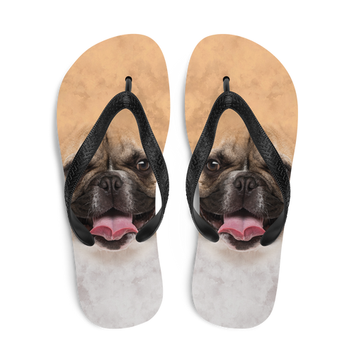 French Bulldog Flip-Flops by Design Express