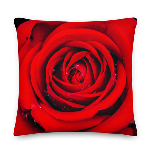 22×22 Fresh Red Rose Square Premium Pillow by Design Express