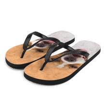 S Pit Bull Dog Flip-Flops by Design Express