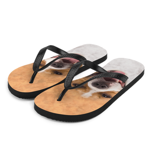 S Pit Bull Dog Flip-Flops by Design Express